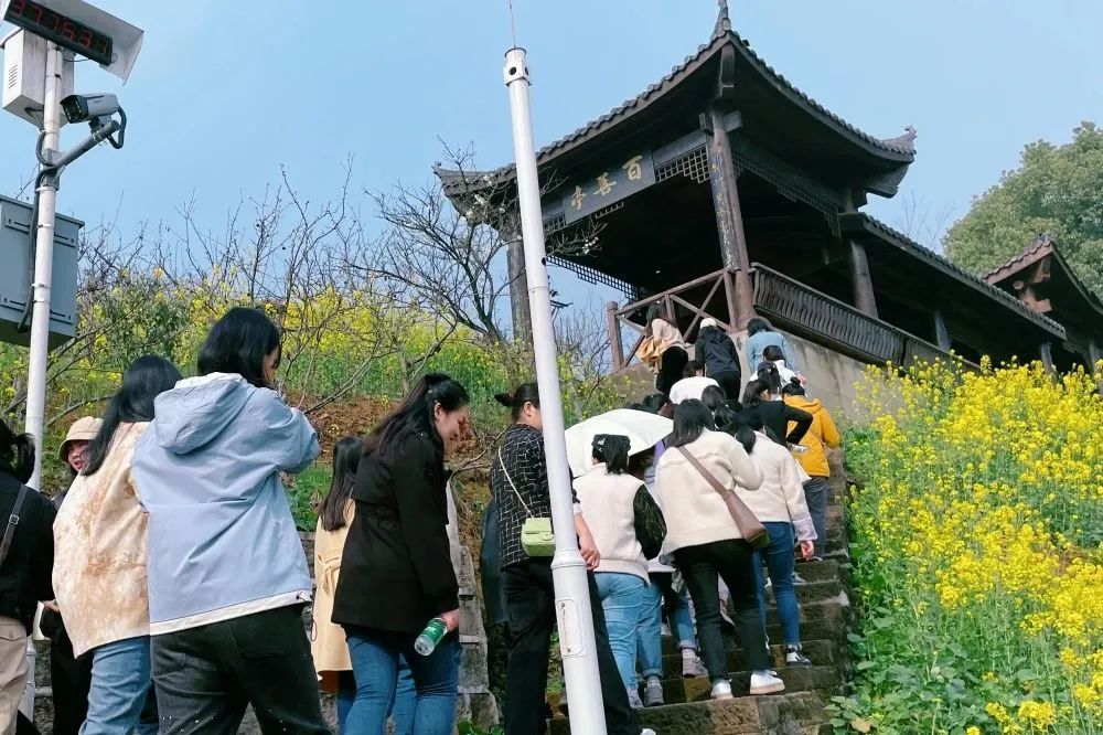 獻禮3.8節|勇做攀登者，奮進新未來