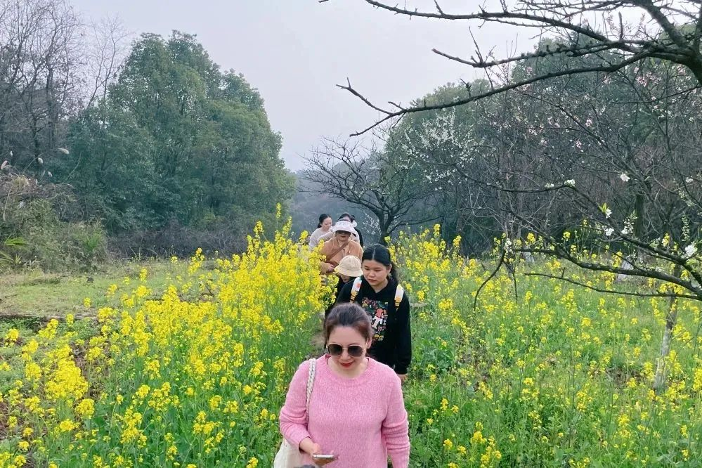 獻禮3.8節|勇做攀登者，奮進新未來