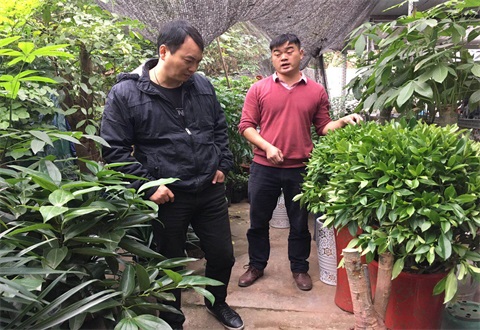 厲行節約 親臨市場