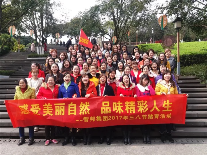 智邦集團2017年前三季度豐碩成果展示